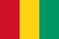 Flag of guinea flag.