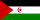 Western Sahara .ico Flag Icon