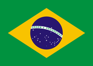 Flag of brazil flag.