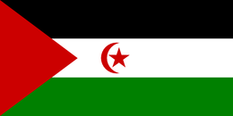 Flag of western-sahara flag.