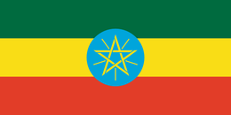 Flag of ethiopia flag.