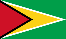 Flag of guyana flag.