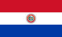 Flag of paraguay flag.