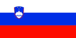 Flag of slovenia flag.