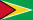 Guyana .ico Flag Icon