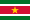 Suriname .ico Flag Icon