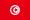 Tunisia .ico Flag Icon